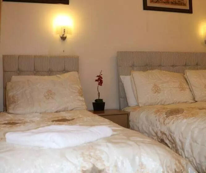 בית מלון כפרי Barry House