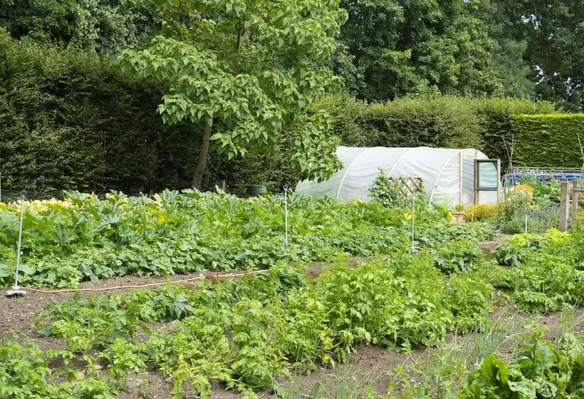 호텔 Beechfield House