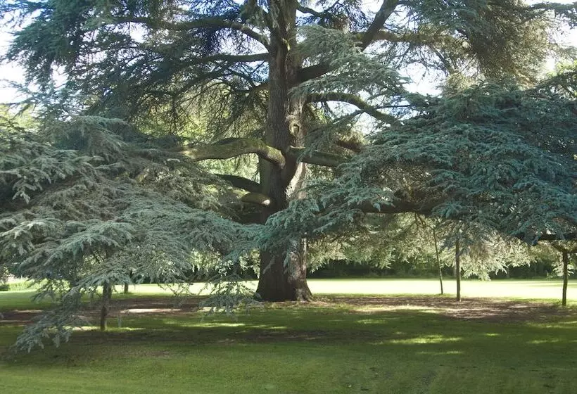 호텔 Beechfield House