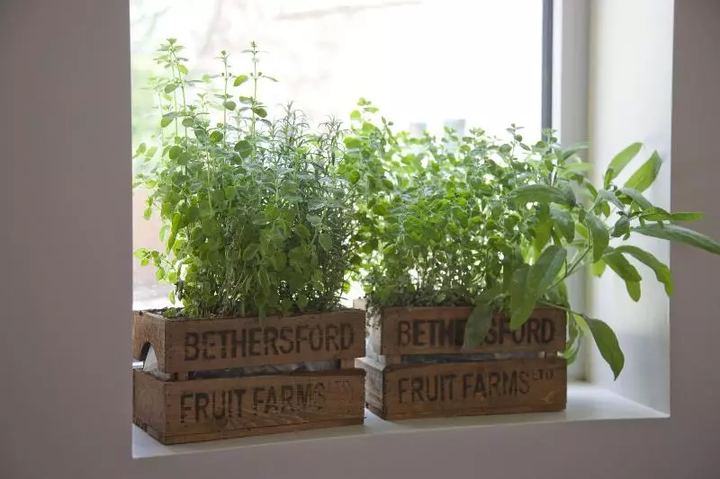 호텔 Sudbury House