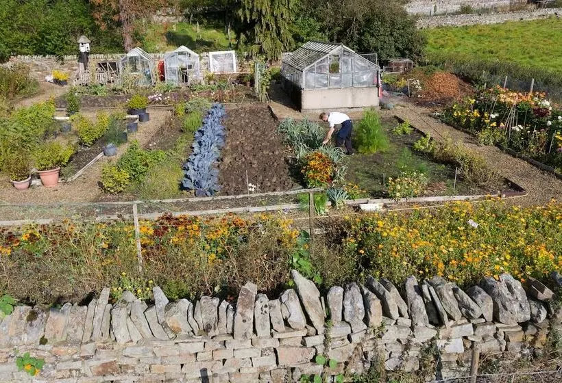 Отель Lord Crewe Arms