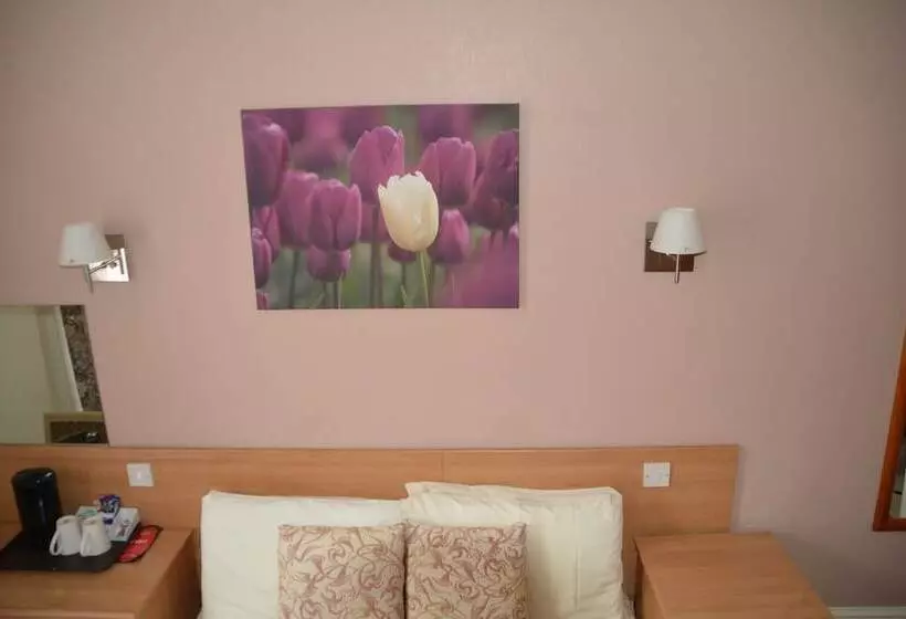 فندق New Wilmington