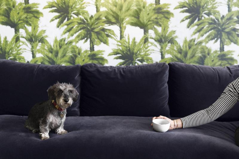 The Lodge Hotel Putney