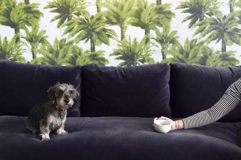 The Lodge Hotel Putney