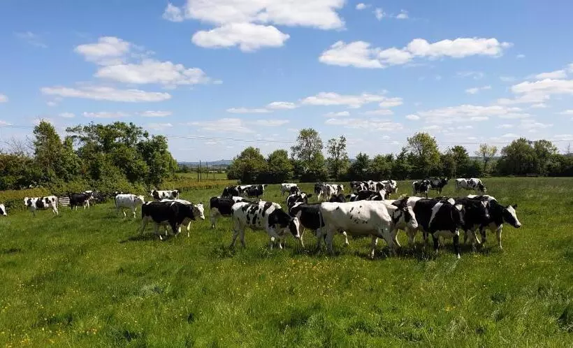 בית מלון כפרי Schoolhouse Restaurant And