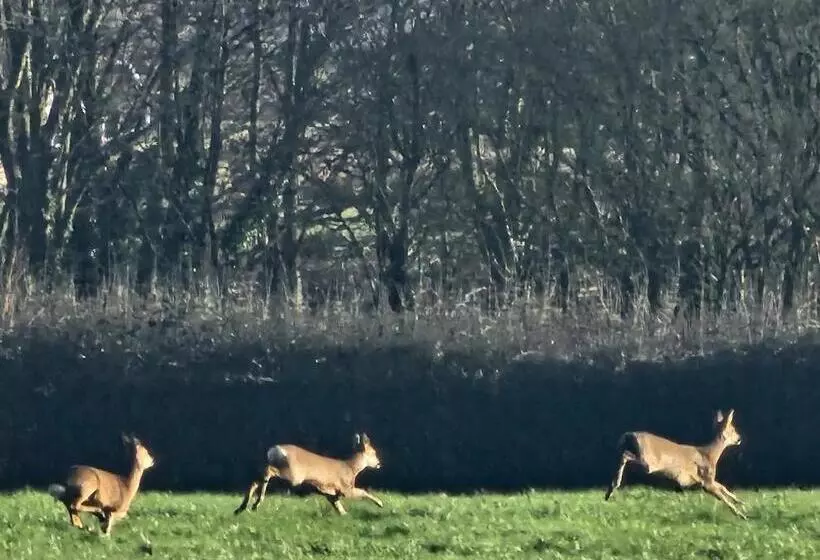 בית מלון כפרי Schoolhouse Restaurant And