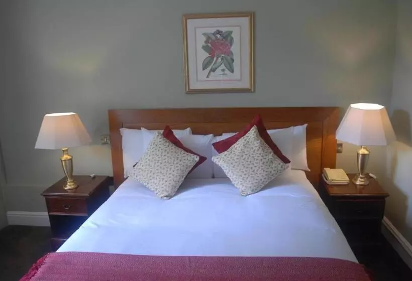 Отель The Radnorshire Arms