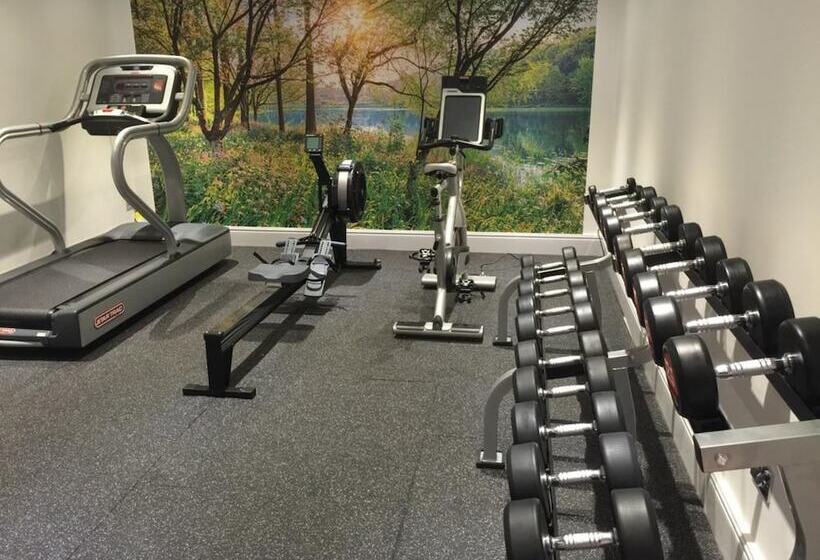 هتل The Royal George