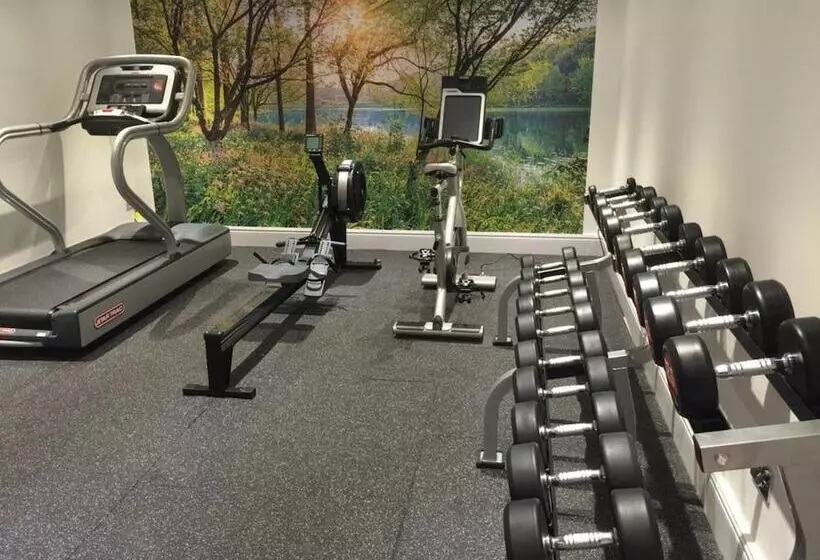 Отель The Royal George