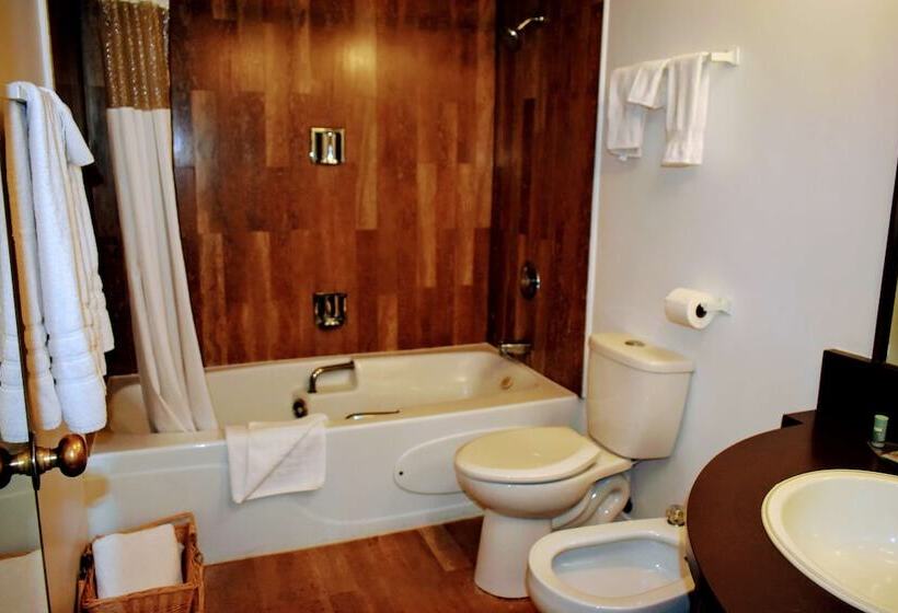 ホテル Best Western Downtown Sudbury