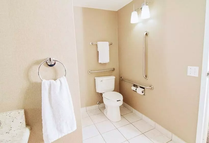 호텔 Best Western Swan Castle Inn