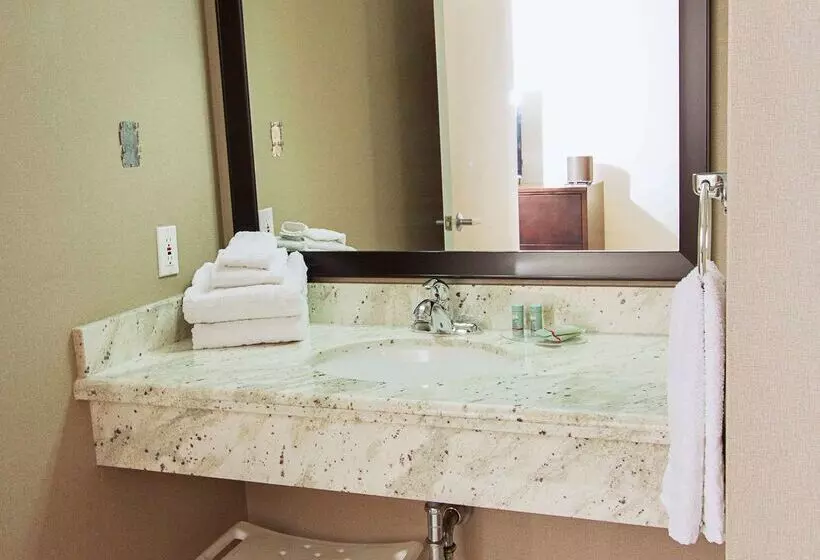 호텔 Best Western Swan Castle Inn