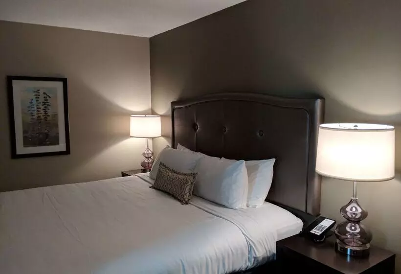 호텔 Best Western Swan Castle Inn