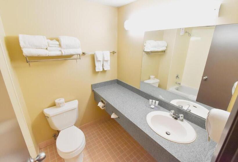 هتل Canad Inns Destination Centre Garden City