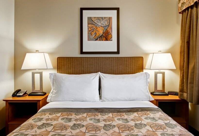 Hotel Canalta Jurassic