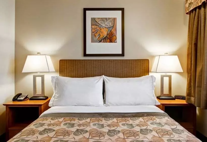 酒店 Canalta Jurassic