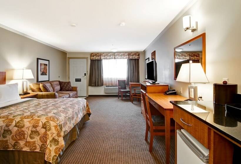 Hotel Canalta Jurassic