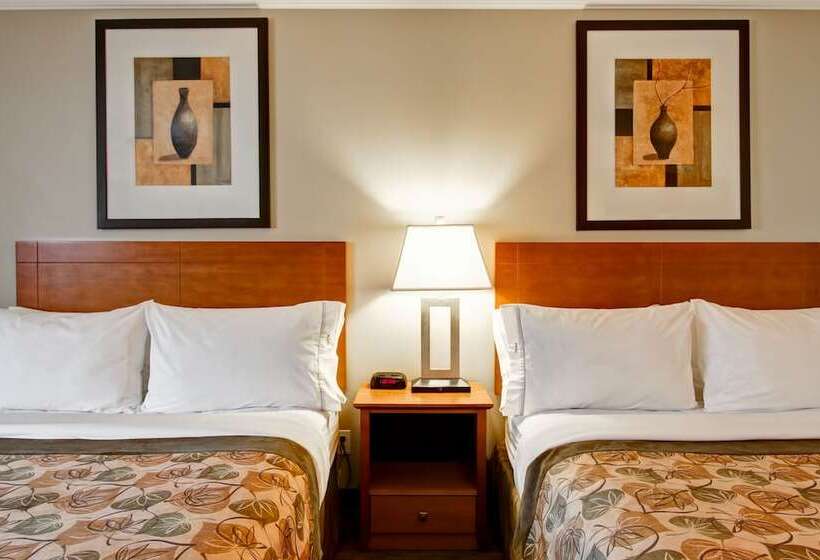 Hotel Canalta Jurassic