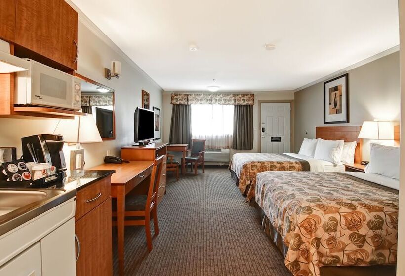 Hotel Canalta Jurassic