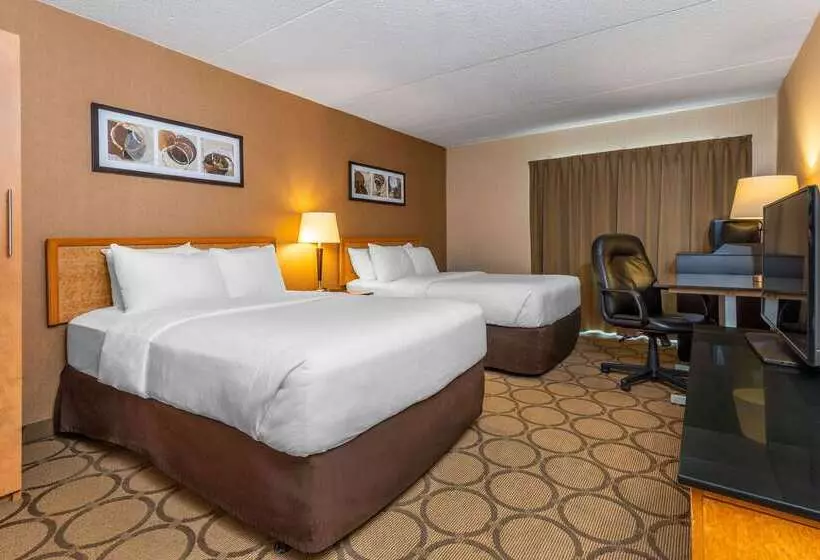 Отель Comfort Inn  Timmins