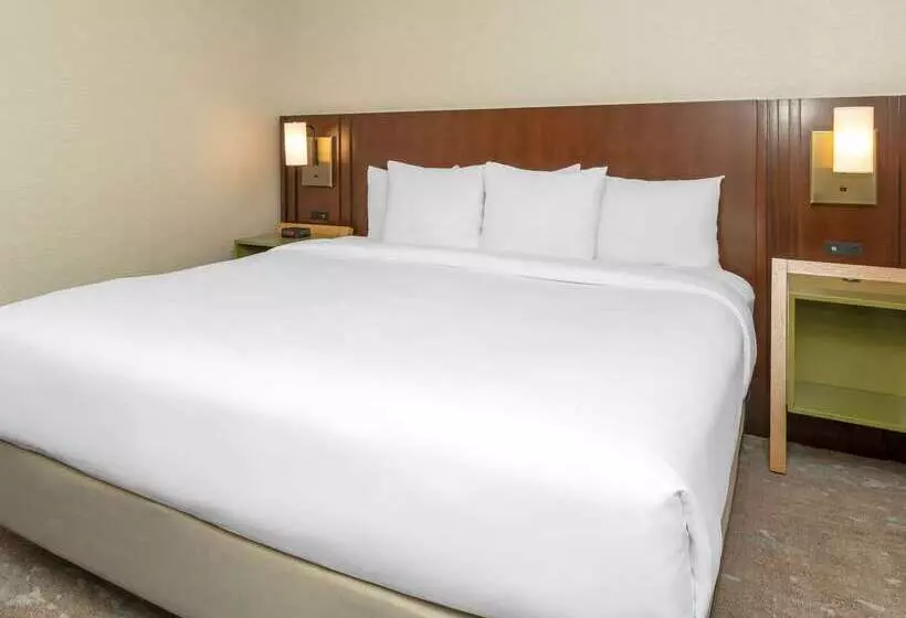 酒店 Comfort Inn West