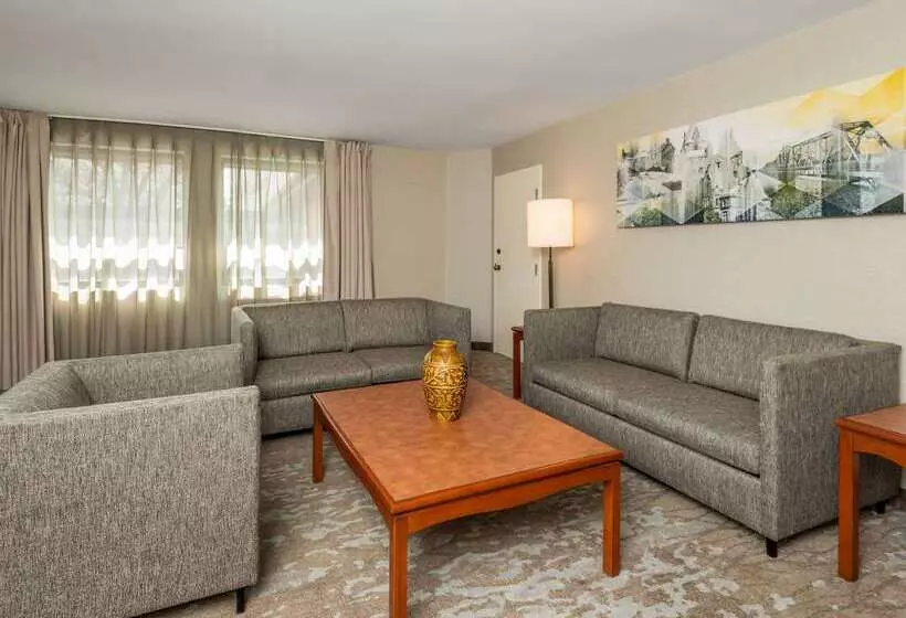 酒店 Comfort Inn West