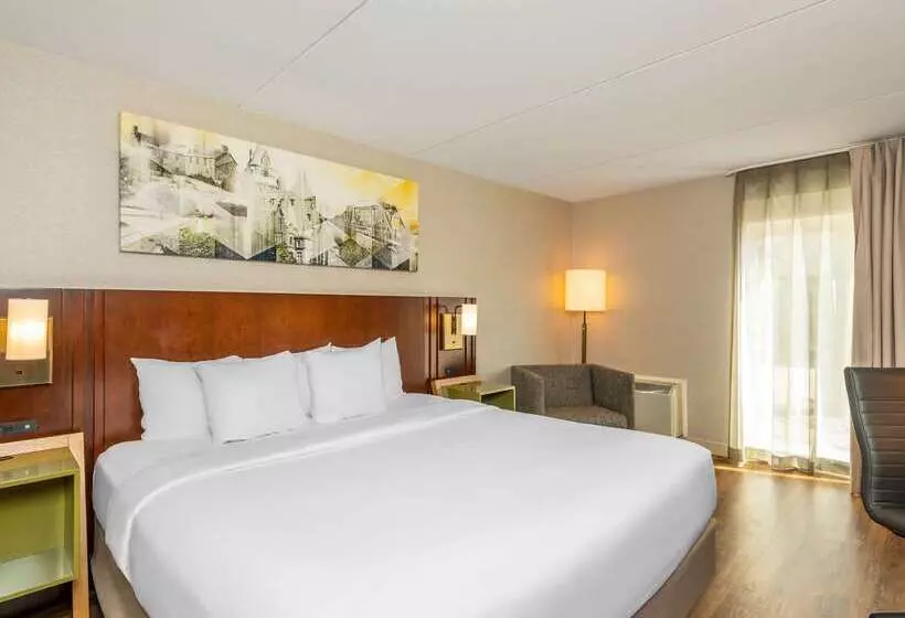 酒店 Comfort Inn West