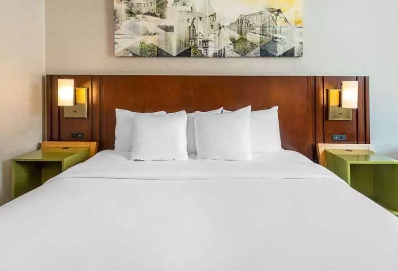 酒店 Comfort Inn West