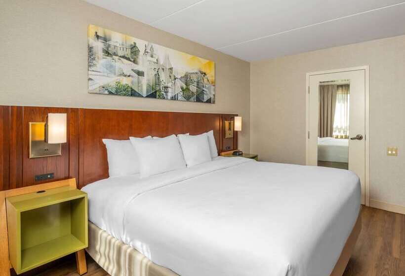 호텔 Comfort Inn West