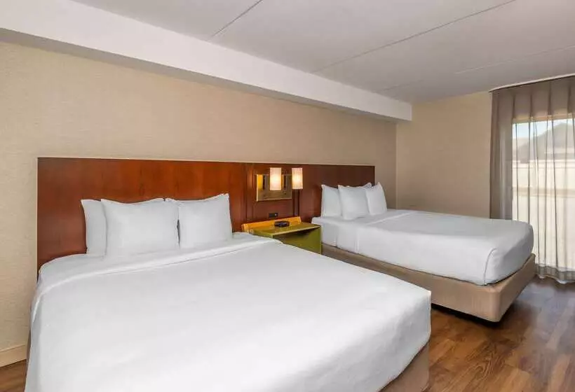 酒店 Comfort Inn West