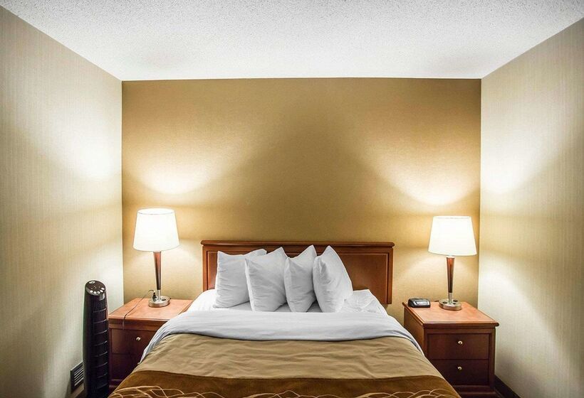 호텔 Comfort Inn West