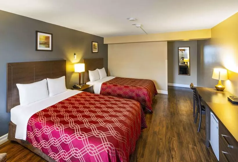 酒店 Econo Lodge Miramichi