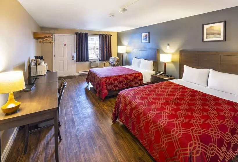 酒店 Econo Lodge Miramichi