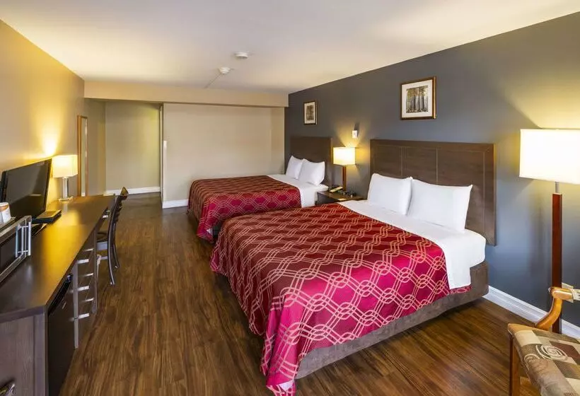 酒店 Econo Lodge Miramichi