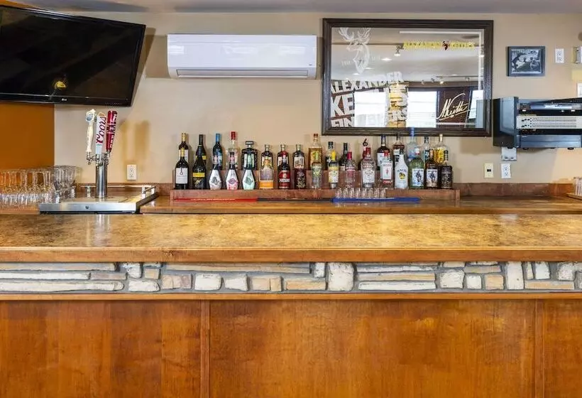 酒店 Econo Lodge Miramichi