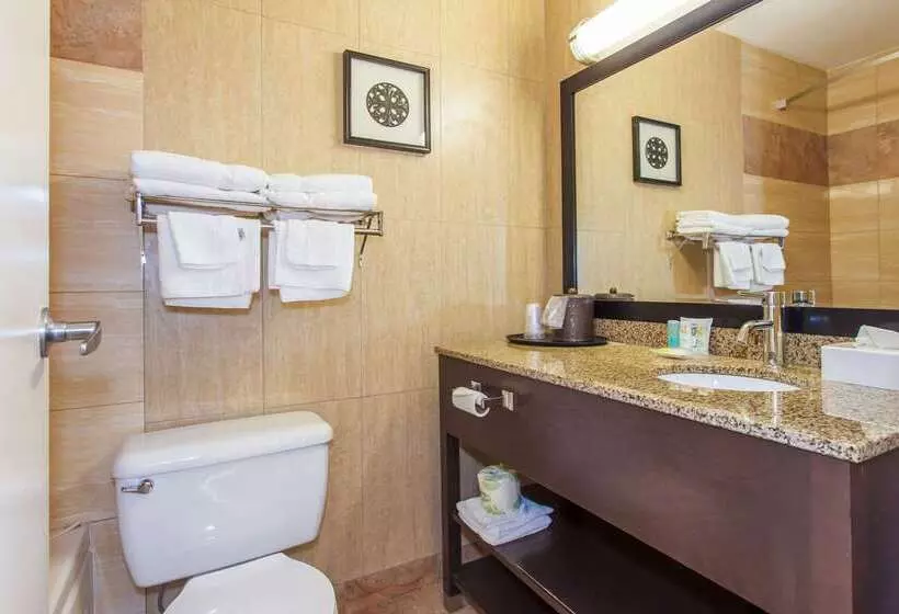 ホテル Quality Inn