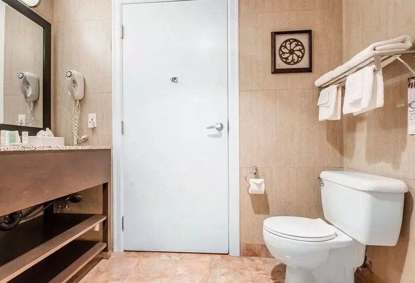 ホテル Quality Inn