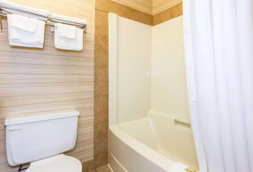 ホテル Quality Inn