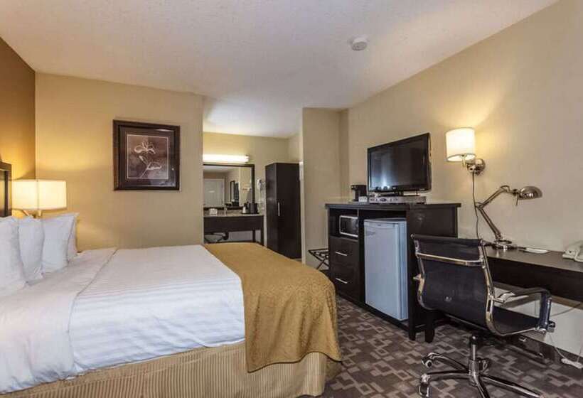 فندق Quality Inn