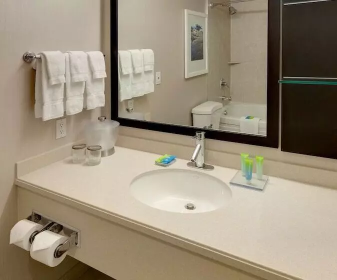 Radisson Hotel & Suites Fallsview