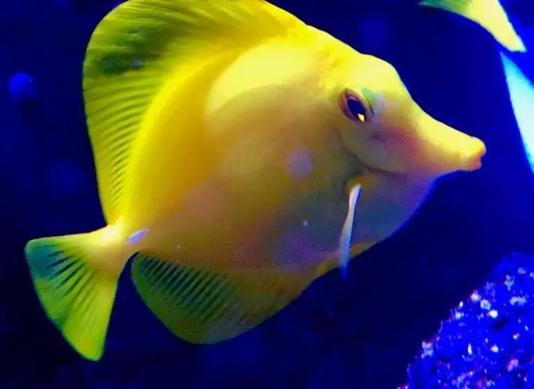 호텔 Ramada By Wyndham Edmonton Yellowhead Nw