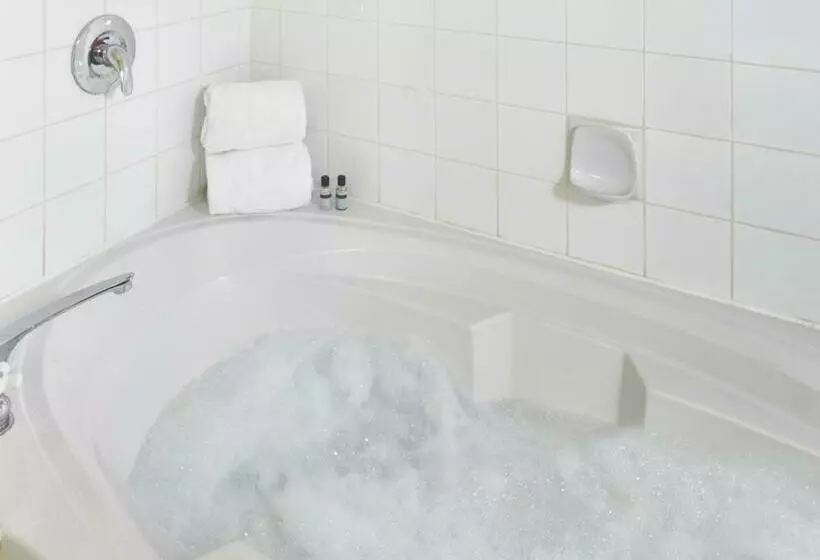 Executive Plaza Hotel & Conference Centre, Metro Vancouver