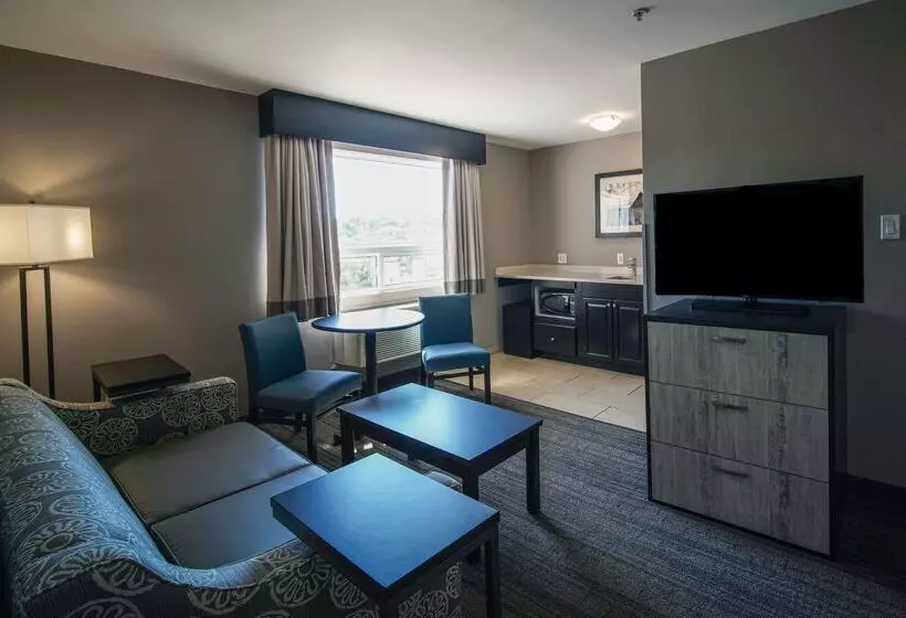 Best Western Plus Chocolate Lake Hotel   Halifax