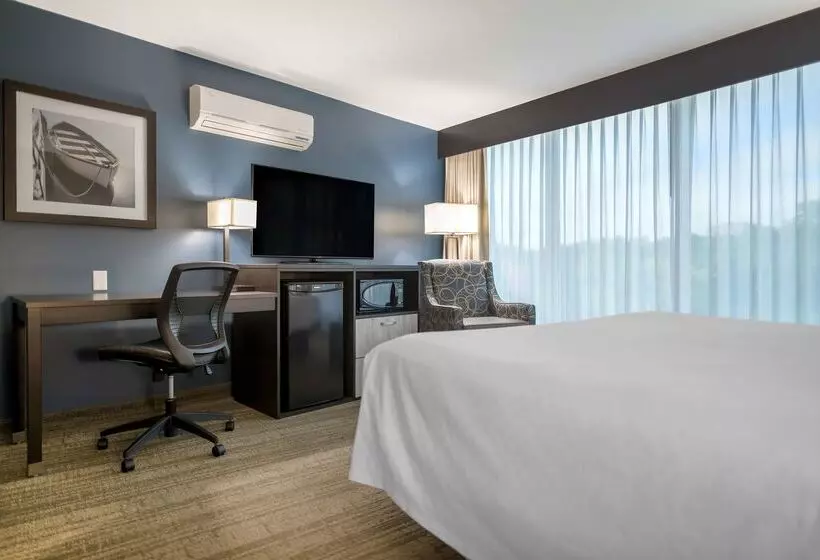 Best Western Plus Chocolate Lake Hotel   Halifax