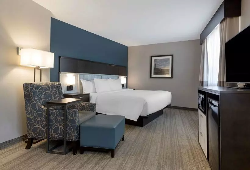 Best Western Plus Chocolate Lake Hotel   Halifax