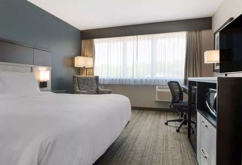 Best Western Plus Chocolate Lake Hotel   Halifax