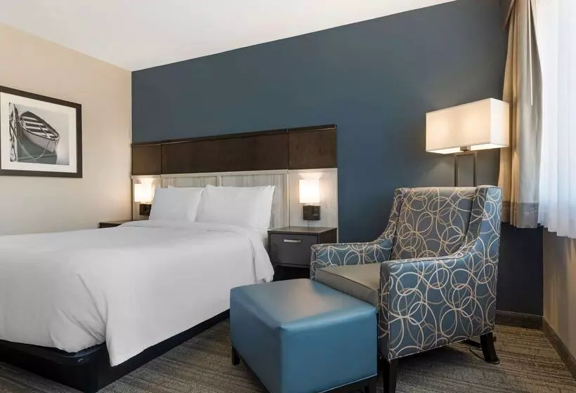 Best Western Plus Chocolate Lake Hotel   Halifax