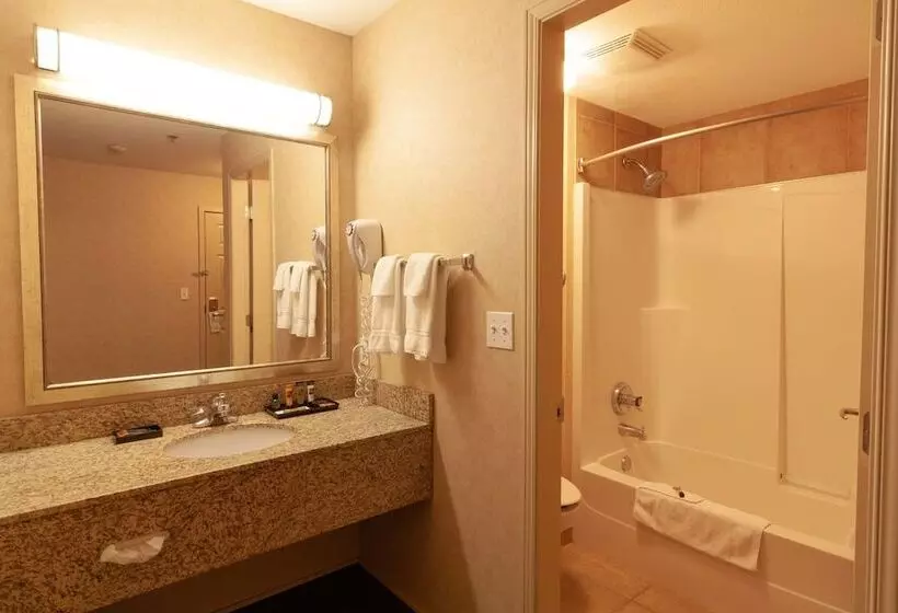 Отель Kelowna & Conference Centre