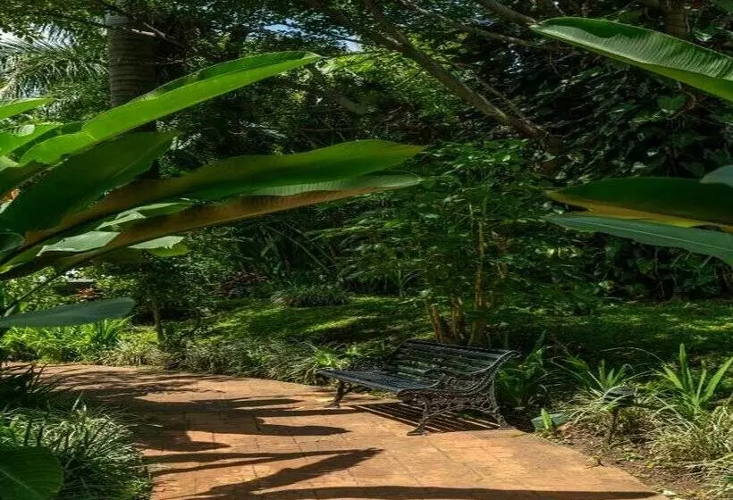 酒店 Barceló San José