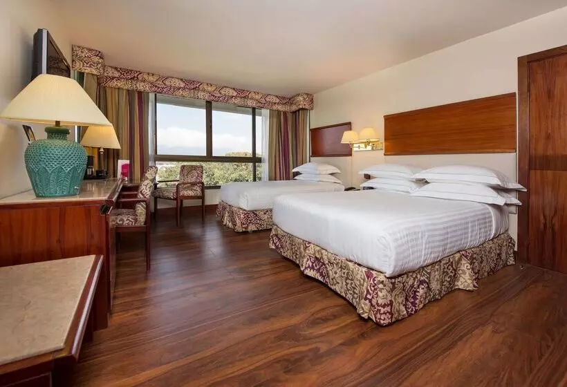 酒店 Barceló San José